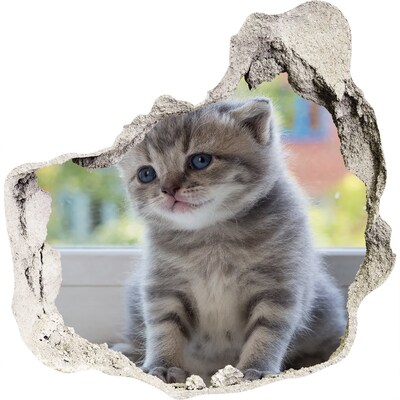 Dziura 3d fototapeta na ścianę Mały kot przy oknie