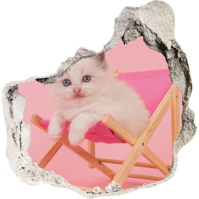 Dziura 3d fototapeta naklejka Kot na leżaku