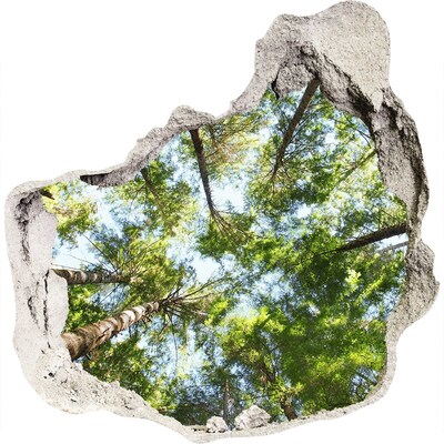 Dziura 3d w ścianie na ścianę Widok na las z niebieskim niebem