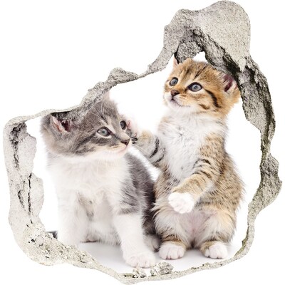 Dziura 3d fototapeta naklejka Dwa małe koty