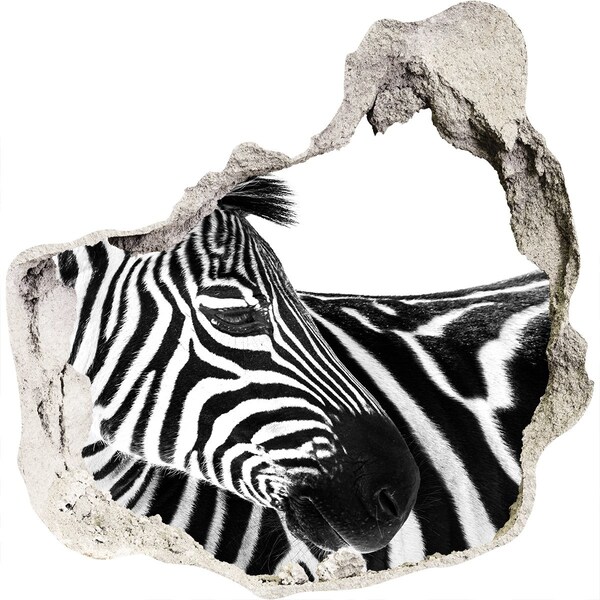 Dziura 3d fototapeta naklejka Zebra w śniegu