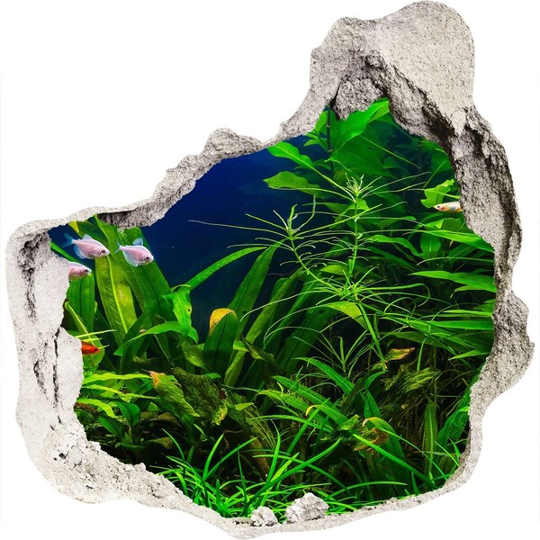 Dziura 3d w ścianie naklejka Podwodny świat w akwarium