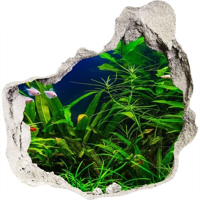 Dziura 3d w ścianie naklejka Podwodny świat w akwarium