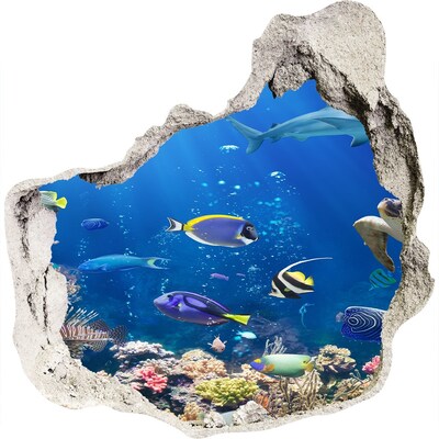 Dziura 3d fototapeta ścienna Rafa koralowa