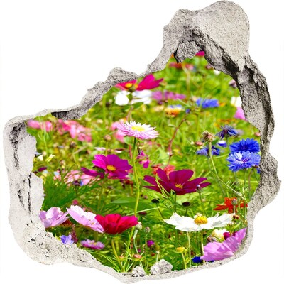 Samoprzylepna naklejka fototapeta Polne kwiaty