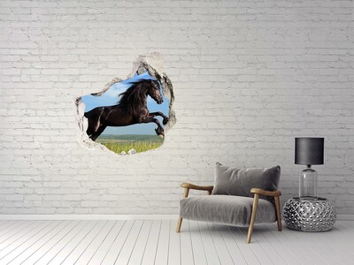 Dziura 3d fototapeta na ścianę Czarny koń na łące