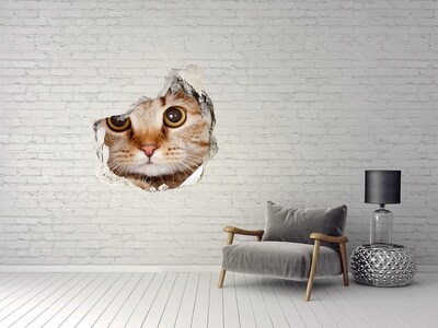 Dziura 3d fototapeta naklejka Kot