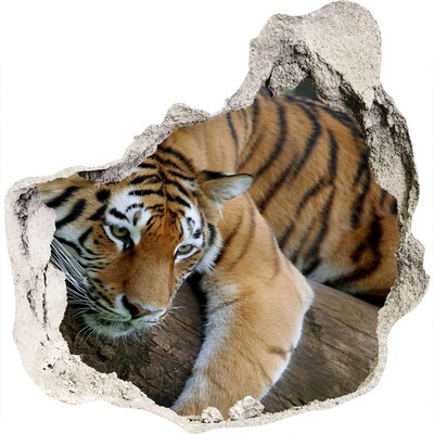 Dziura 3d fototapeta naklejka Tygrys na drzewie