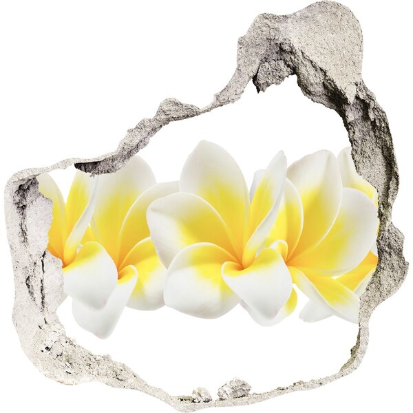 Samoprzylepna naklejka fototapeta Plumeria