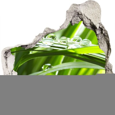 Fototapeta naklejka na ścianę Zielona łąka z kroplami wody