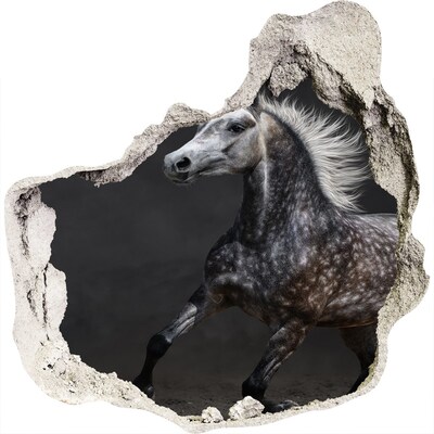Dziura 3d fototapeta na ścianę Szary koń arabski