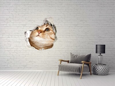 Dziura 3d fototapeta na ścianę naklejka Kot