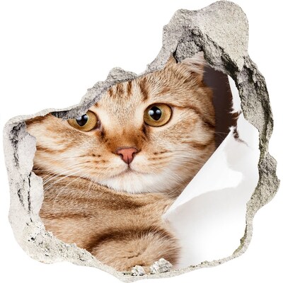 Dziura 3d fototapeta na ścianę naklejka Kot w dziurze w ścianie