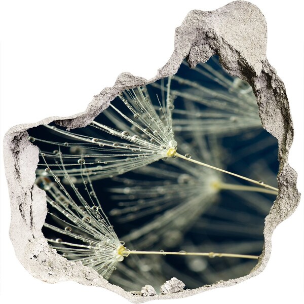 Samoprzylepna dziura naklejka Kwiaty dmuchawca w wodzie