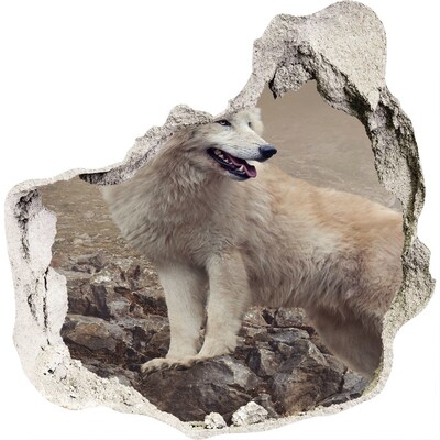 Dziura 3d fototapeta na ścianę Biały wilk na skale