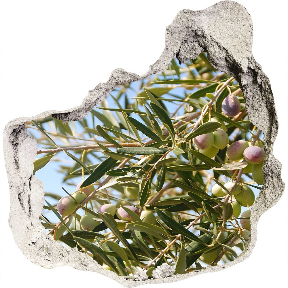 Samoprzylepna dziura naklejka Drzewo oliwne