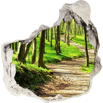 naklejka fototapeta 3D widok Leśna ścieżka w promieniach słońca