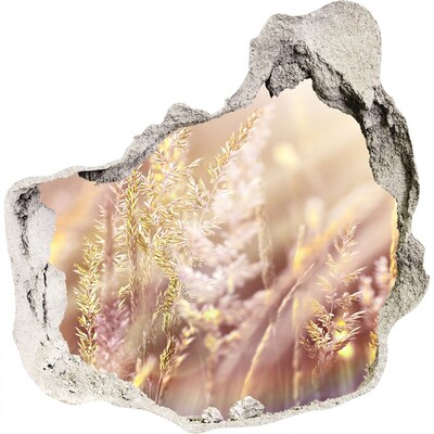 Samoprzylepna dziura naklejka Kwiatowa łąka za ścianą