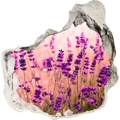 Samoprzylepna dziura naklejka beton Kwiatowa łąka lawendowa