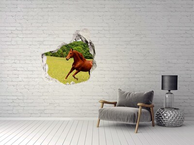 Dziura 3d fototapeta na ścianę Koń na łące
