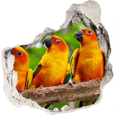 Dziura 3d fototapeta naklejka Papugi na gałęzi