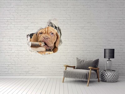 Dziura 3d fototapeta Słodki szczeniak wśród książek