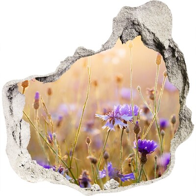 Samoprzylepna dziura naklejka Polne kwiaty