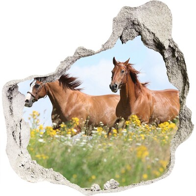Dziura 3d fototapeta Dwa konie w galopie