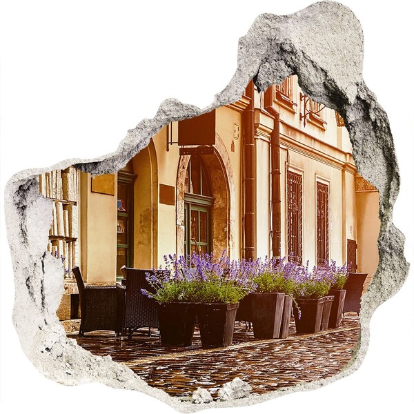 Fototapeta dziura na ścianę 3d Urokliwy kącik z lawendą