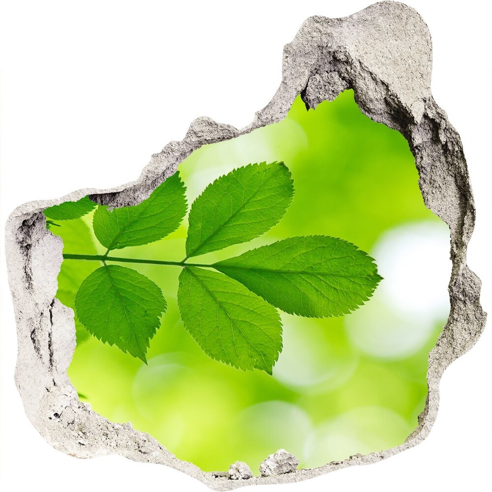 Samoprzylepna dziura na ścianę Zielone liście