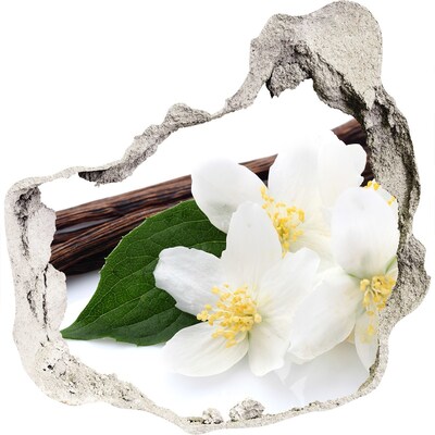 Samoprzylepna dziura na ścianę Kwiaty jaśminu w betonie