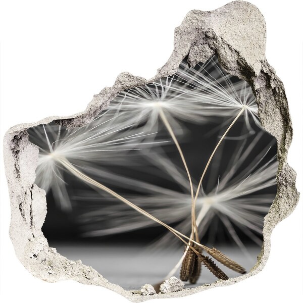 Samoprzylepna dziura naklejka Kwiaty dmuchawca w betonie