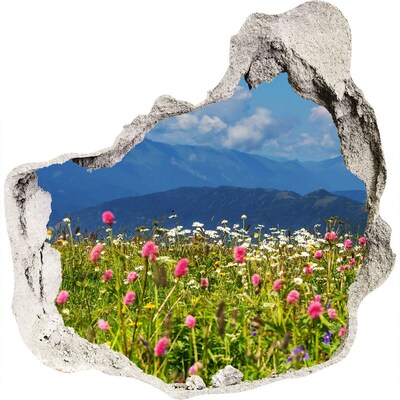 naklejka fototapeta 3D widok Łąka w górach