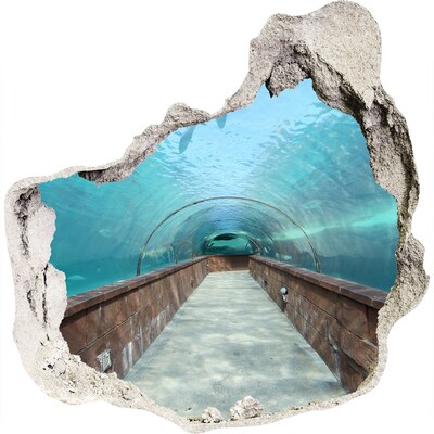 Fototapeta dziura na ścianę 3d Podwodny tunel w oceanie