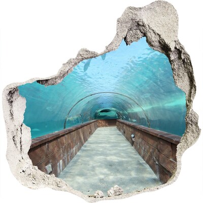 Fototapeta dziura na ścianę 3d Tunel akwarium