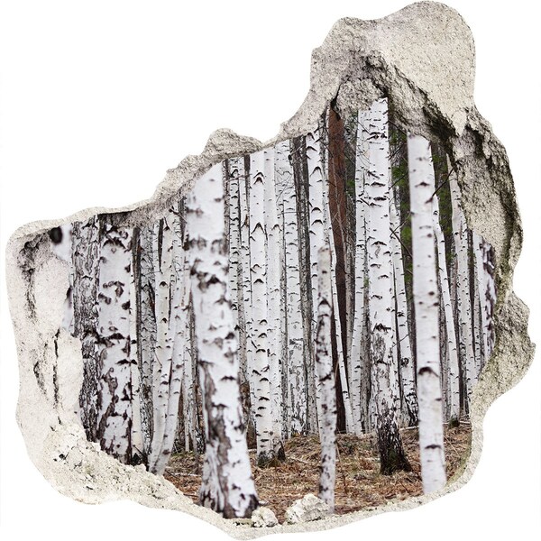 Samoprzylepna dziura naklejka beton Leśna Oaza Białych Brzóz