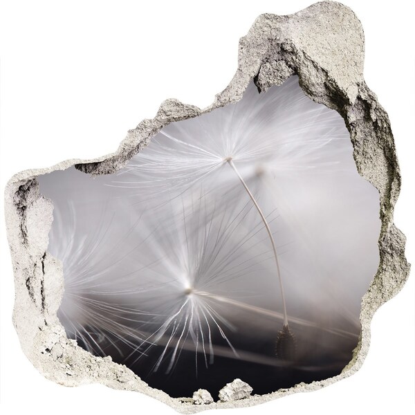 Samoprzylepna dziura naklejka Dmuchawce w betonie