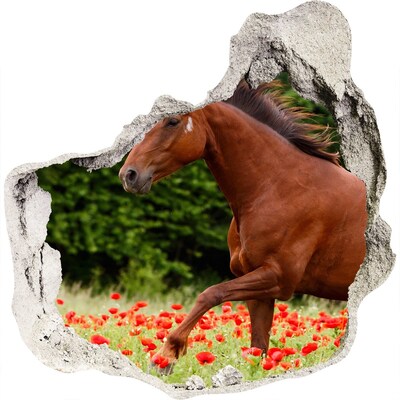 Dziura 3d fototapeta naklejka Koń na polu maków