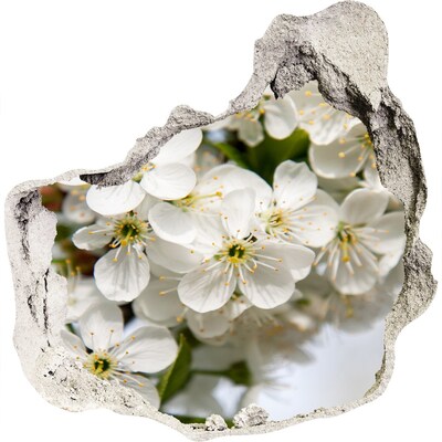 Samoprzylepna dziura naklejka Kwiaty wiśni