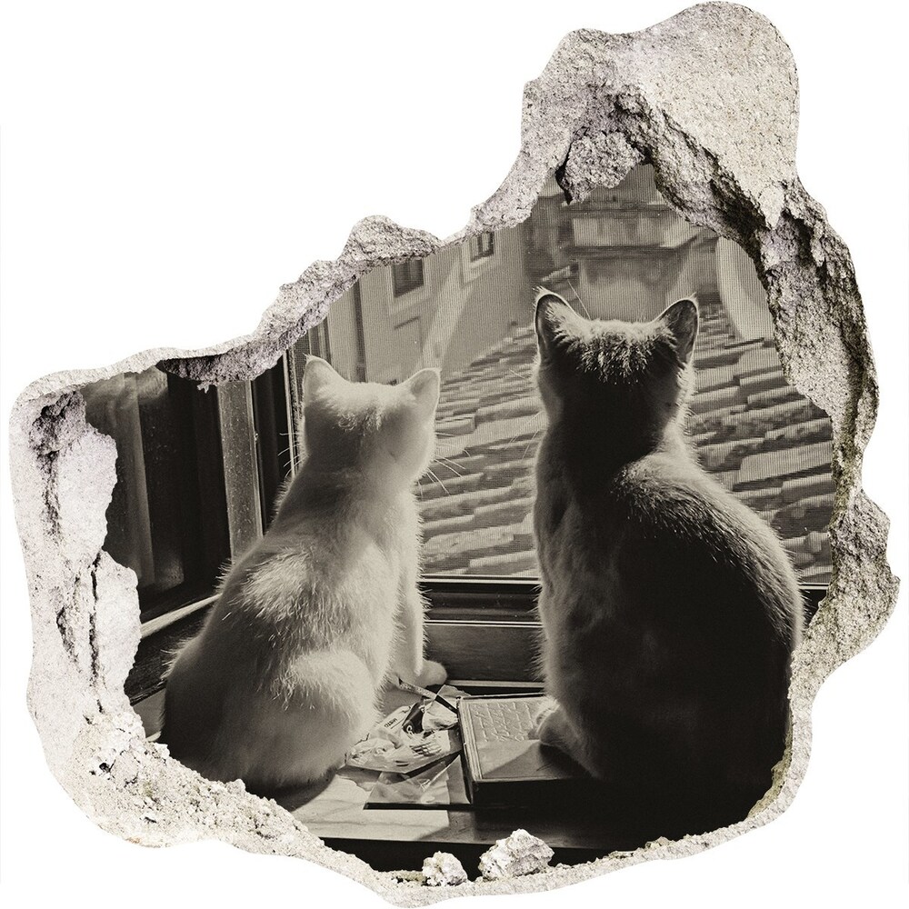 Dziura 3d fototapeta naklejka Koty przy oknie