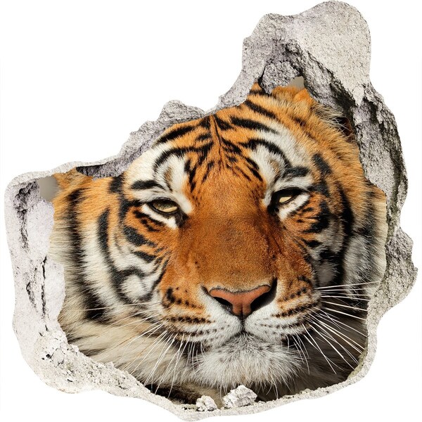 Dziura 3d foto tapeta naklejka Tygrys bengalski