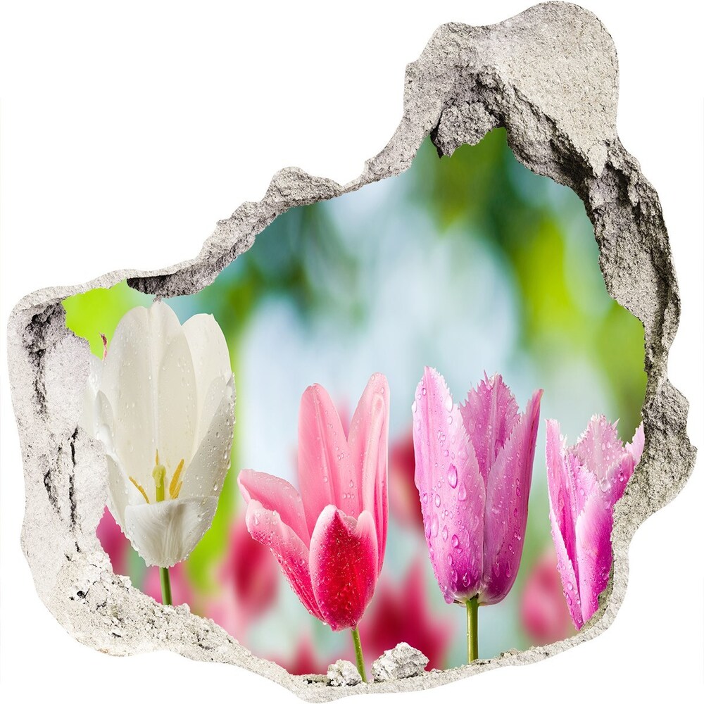 Fototapeta dziura na ścianę Tulipany