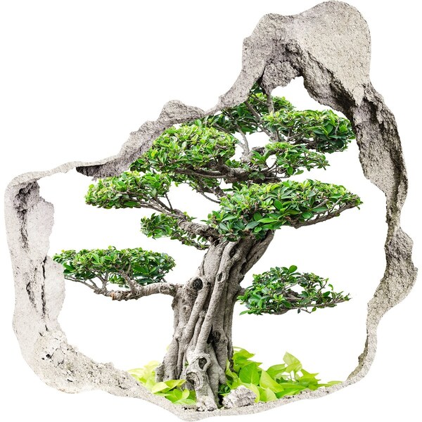 Samoprzylepna dziura na ścianę Drzewo bonsai