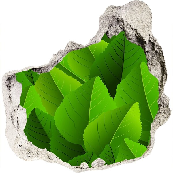 Fototapeta dziura na ścianę Zielona oaza w betonie