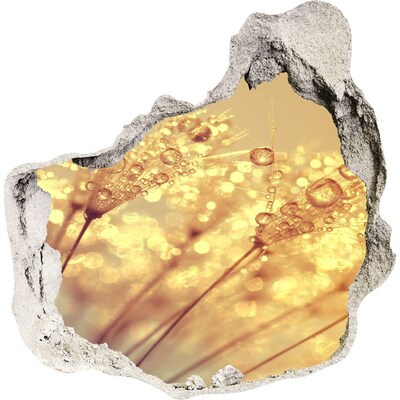 Naklejka 3D dziura na ścianę Złote łąki w świetle słonecznym