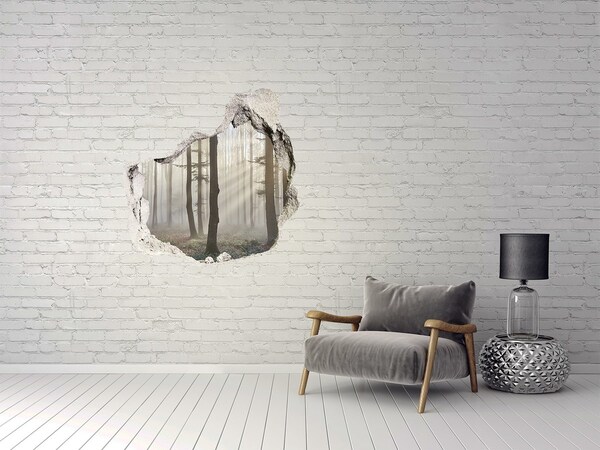 Naklejka 3D dziura samoprzylepna Mglisty las w świetle poranka