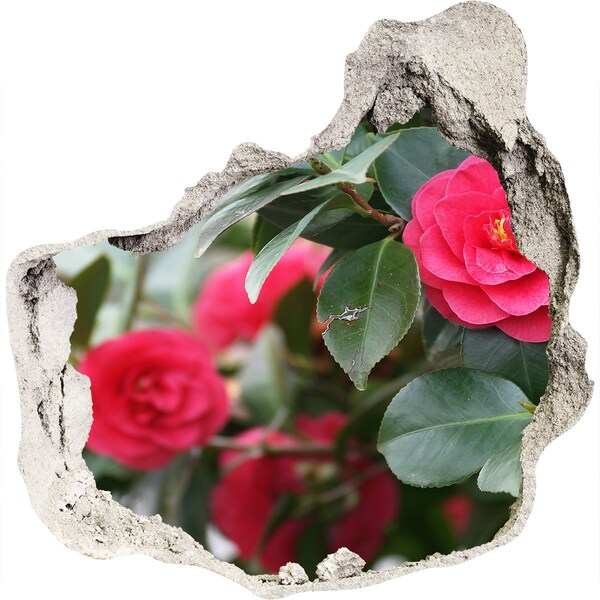 Samoprzylepna dziura na ścianę Kwiatowy ogród w betonie