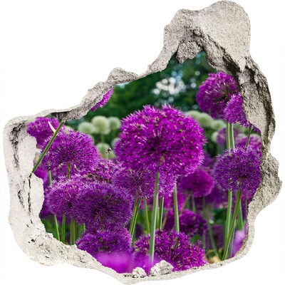 Naklejka 3D dziura samoprzylepna Kwiaty czosnku