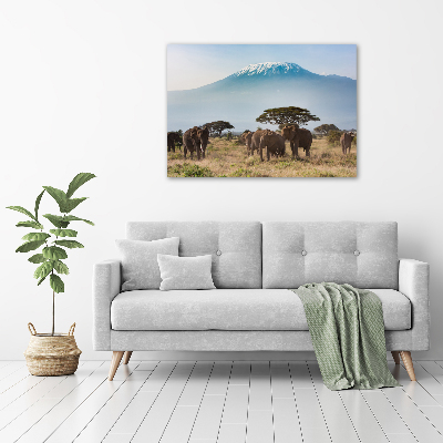 Foto obraz akryl Słonie Kilimandżaro