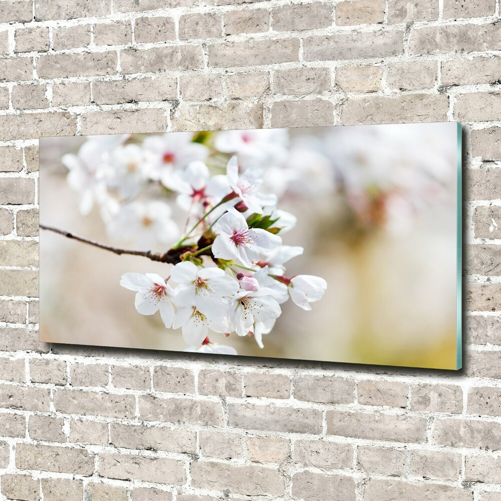 Obraz zdjęcie szkło akryl Kwiaty wiśni